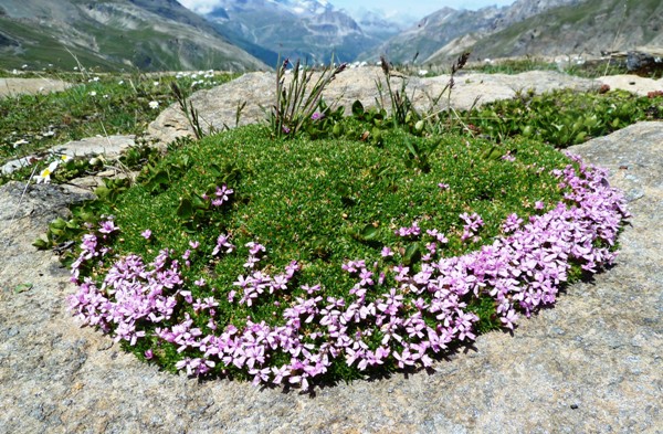 nature et équilibres